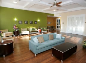a living room with green walls and a blue couch