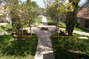 a walkway through a park with trees and grass