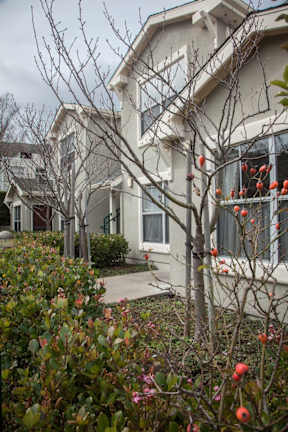 the front of a house with flowering trees and a sidewalk