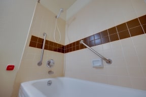 a bathroom with a tub and two grab bars in it