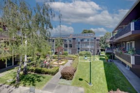 a view of the courtyard of a building with grass and trees
