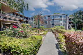 a path in a garden between two apartment buildings