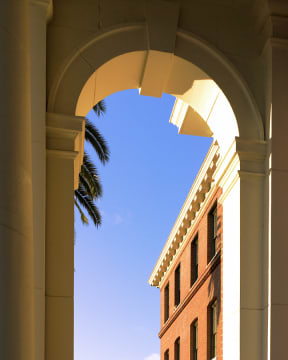 a view of a building with columns and a palm tree