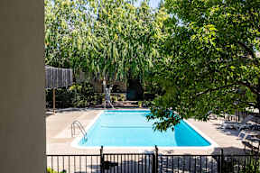 A pool surrounded by trees and a fence.