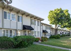 Lush Green Outdoors at Terra Linda Manor, San Rafael