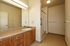 a bathroom with a sink and a mirror and a shower