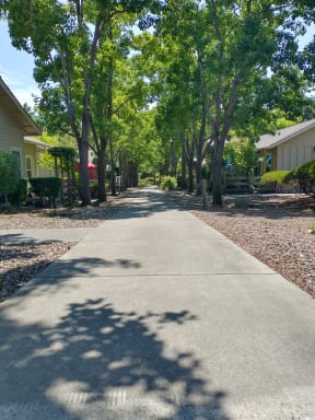 a tree lined street in a neighborhood with houses