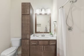 a bathroom with a sink and a shower and a mirror