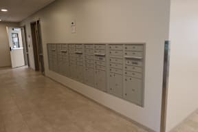 A row of mailboxes are lined up on a wall.