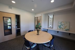 A conference room with a table, chairs and a plant.