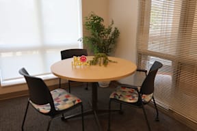 A round table with chairs and a potted plant in the middle.
