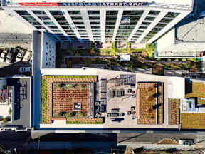 A green rooftop garden is situated on a building in a city.