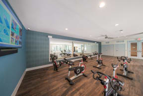 Spin Studio at Parc at White Rock Luxury Apartments in Dallas TX