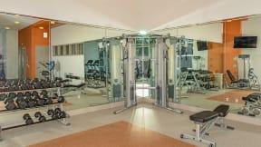 Professional Fitness Center at Allapattah Trace Apartments Miami FL