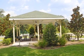 Picnic Area at Brook Haven Apartments in Brooksville, FL