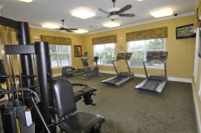 Fitness Center at Brook Haven Apartments in Brooksville, FL