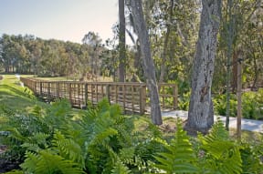 Walking Trails at Cristina Woods Apartments in Riverview FL