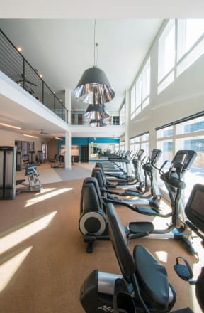 Professional Fitness Center at Parc at White Rock Luxury Apartments in Dallas TX
