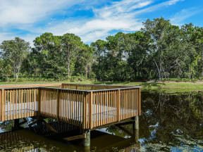 Lake Dock at The Epic at Gateway Luxury Apartments in St. Pete, FL