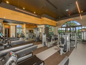 Professional Fitness Center at Palm Ranch Luxury Apartments in Davie, FL