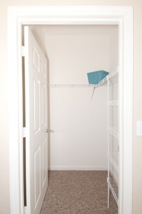 Walk-In Closets at Fort King Colony in Zephyrhills, FL