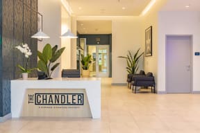 Welcome home to The Chandler in North Hollywood