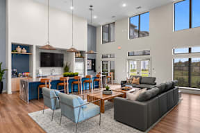 A modern living room with a grey sofa and a blue chair.