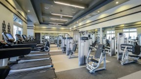 Professional Fitness Center at Epic at Gateway Luxury Apartments in St. Petersburg, FL