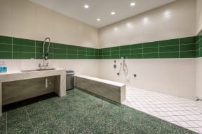 Pet wash room | The Merc at Moody and Main