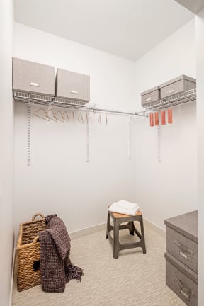 Spacious closets | The Merc at Moody and Main