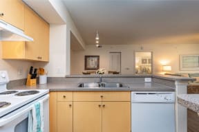 Kitchen with electric appliances | Promenade at Reflection Lakes