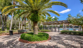 Poolside courtyard | Floresta