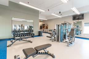 A gym with a variety of equipment including weights and a bench.at Vista Apartments at Edgemont, Edmonton, T6M 1J4