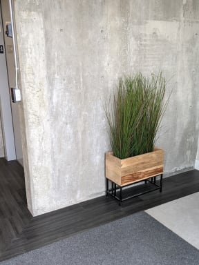 Main Lobby Area