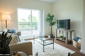 A living room with a white couch, a glass coffee table, a television, and a potted plant.