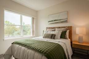 A bedroom with a large bed and a green blanket.