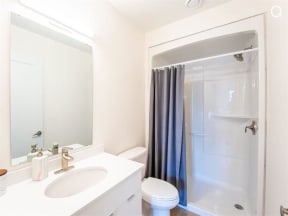 a bathroom with a shower sink and toilet and a mirror