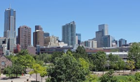 skyline of Denver city skyscrapers with a park in the foreground
