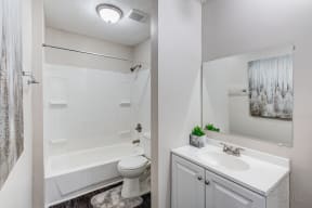 a bathroom with a shower toilet and sink and a tub