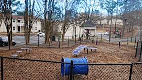 A playground with a blue slide and a black fence.