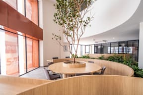 a tree in the center of a room with wooden tables and chairs