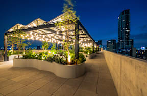 a rooftop garden with lights and plants at night