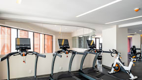 four treadmills in a gym with a wall of windows