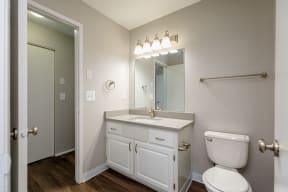 a bathroom with a toilet sink and mirror