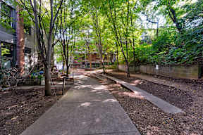A pathway in a park with trees on both sides.