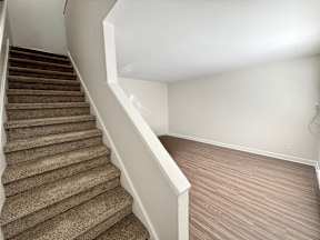 A staircase with a carpeted runner and wooden steps.