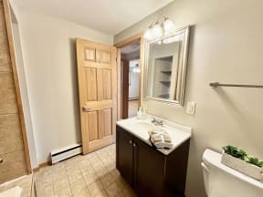 a bathroom with a sink and a toilet and a mirror