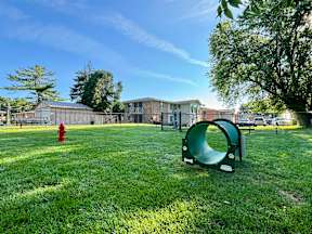 A playground with a green slide and a red fire hydrant in a grassy area.
