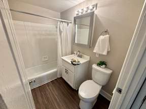 A white toilet sits next to a sink in a bathroom.