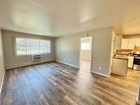 A room with a window and a kitchen area in the background.